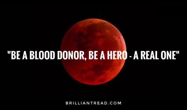 blood donation quotes