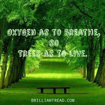 save tree save environment slogan