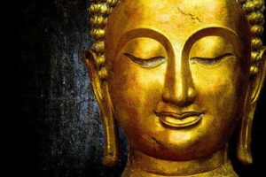 Best Motivational Buddha Quotes life changing love success karma death anger peace