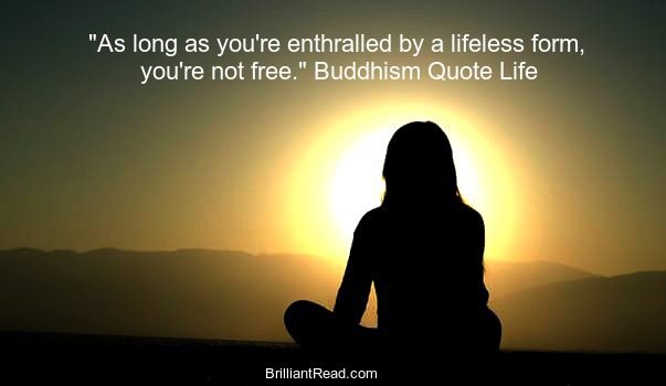 Top 50 Buddhist Quotes On Life Love Karma Bodhidharma Brilliantread Media