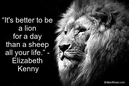 33 Best Motivational Lion Quotes (The King Lion Quotes) | BrilliantRead