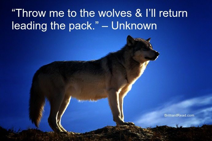 Top 20 Best Ever Wolf Quotes, Proverbs and Sayings On Strength