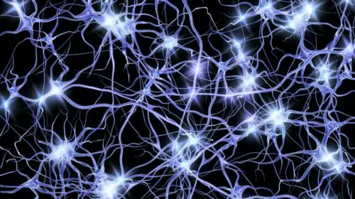 ways to regenerate brain cells naturally