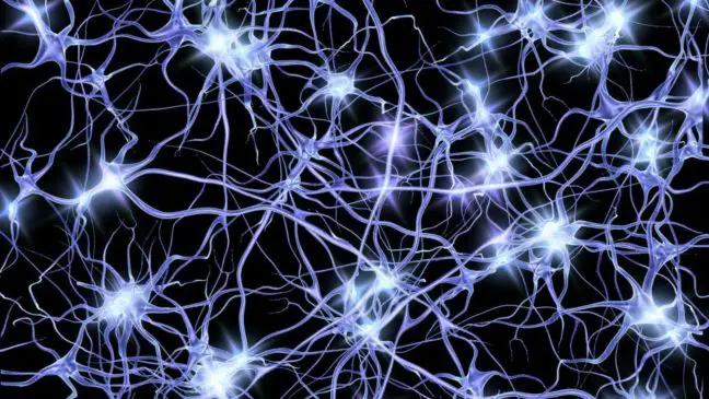 ways to regenerate brain cells naturally