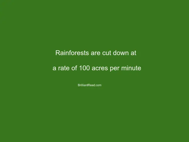 unknown facts about environment forest population water earth planet resources