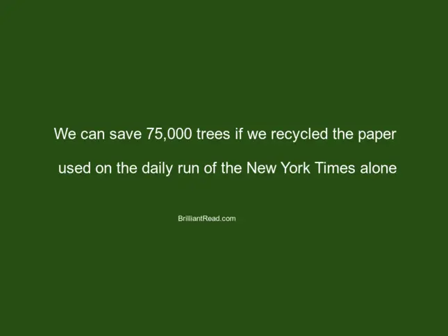 facts about cutting trees save trees afforestation natural resources environment