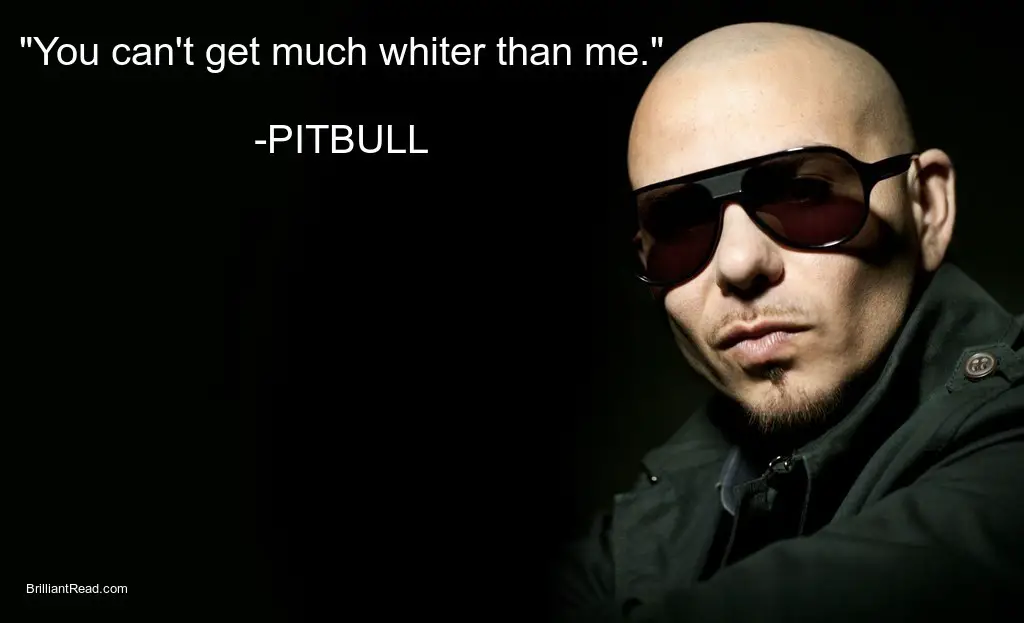 Inspiring quotes by Pitbull