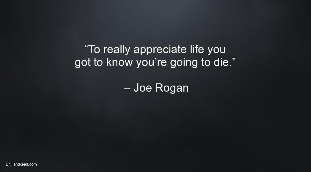 Quotes by Joe Rogan