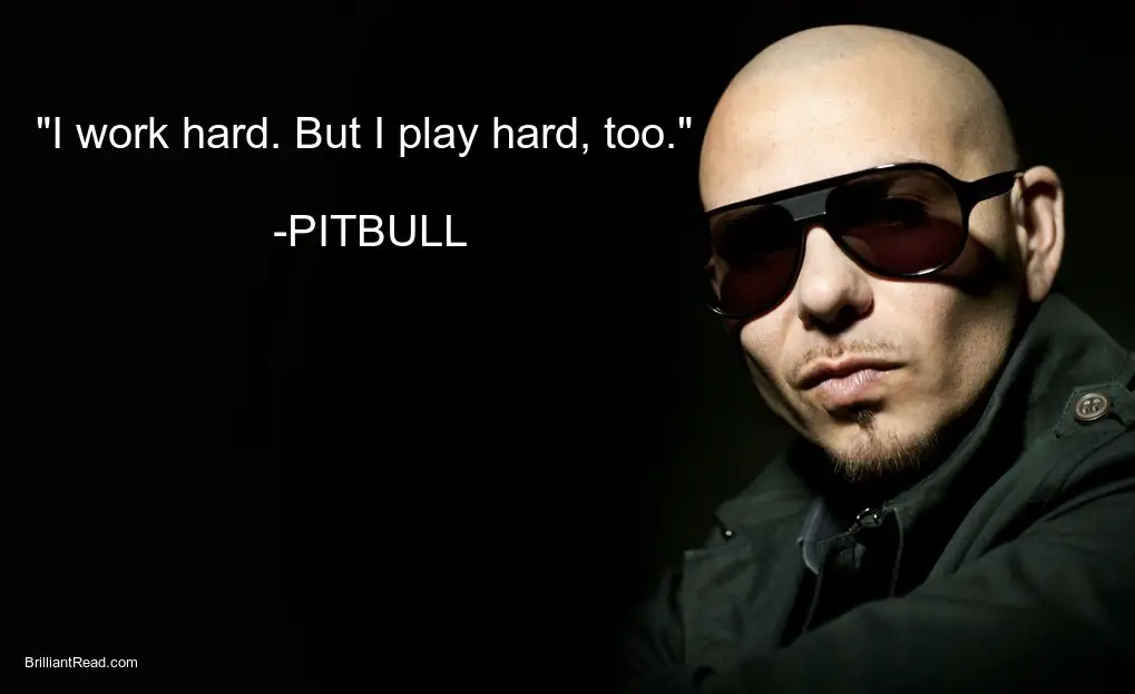 Best Pitbull quotes that inspires you