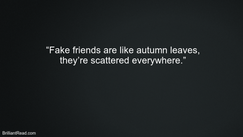 31 Best Fake Friends Quotes | BrilliantRead Media