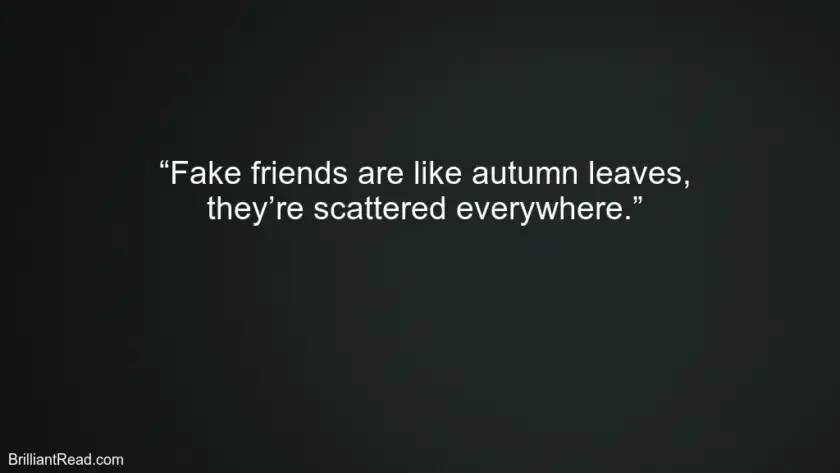 Quotes for fake friends