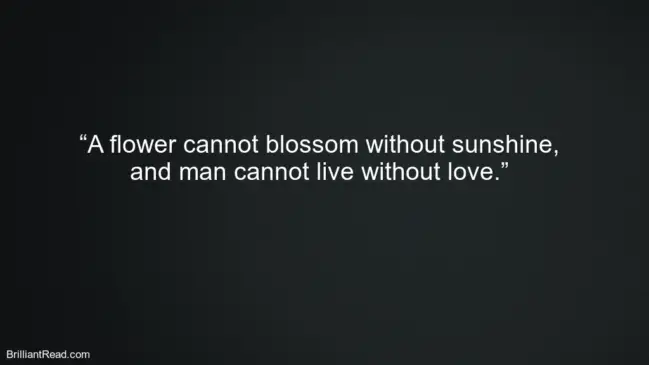 Couple Quotes For Valentine Day