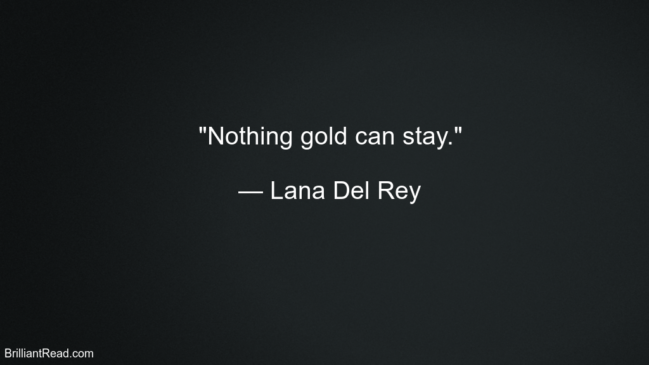 Quotes By Lana Del Rey 