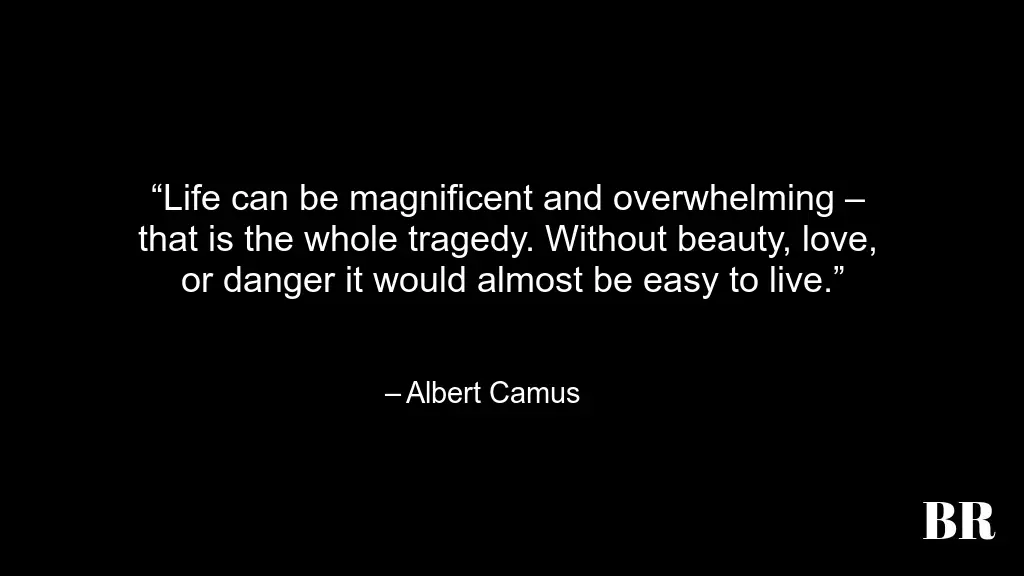 Albert Camus Quotes