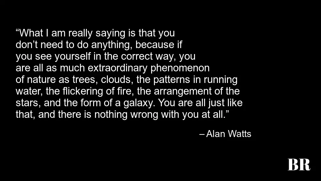 Alan Watts Quotes