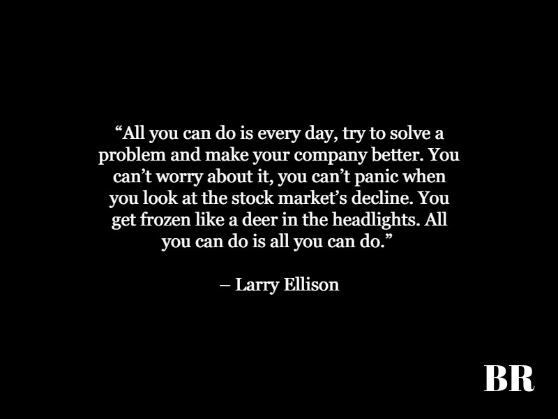 Larry Ellison Quotes