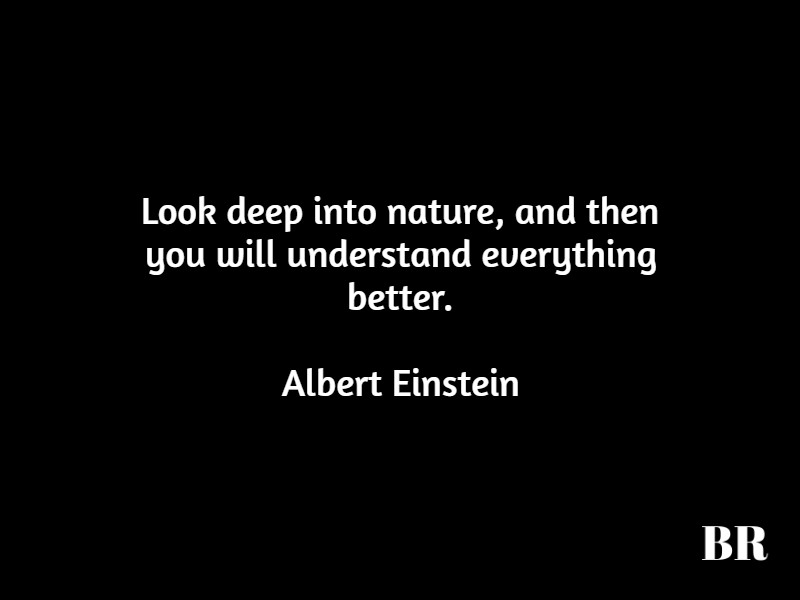 Albert Einstein Quotes