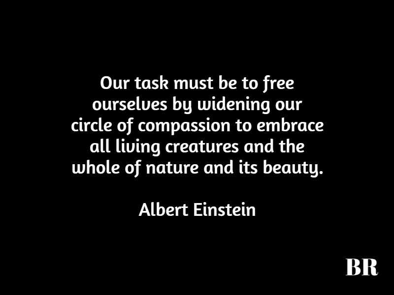 Albert Einstein Best Quotes