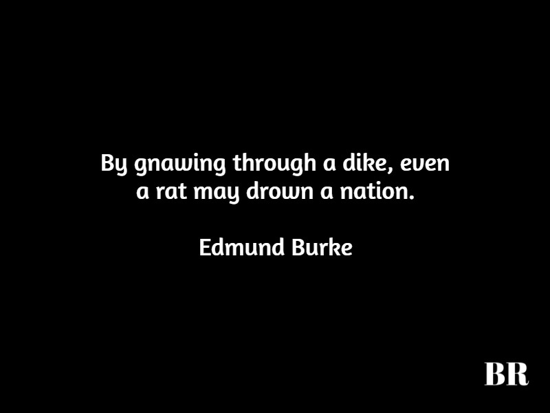 Best Edmund Burke Quotes 