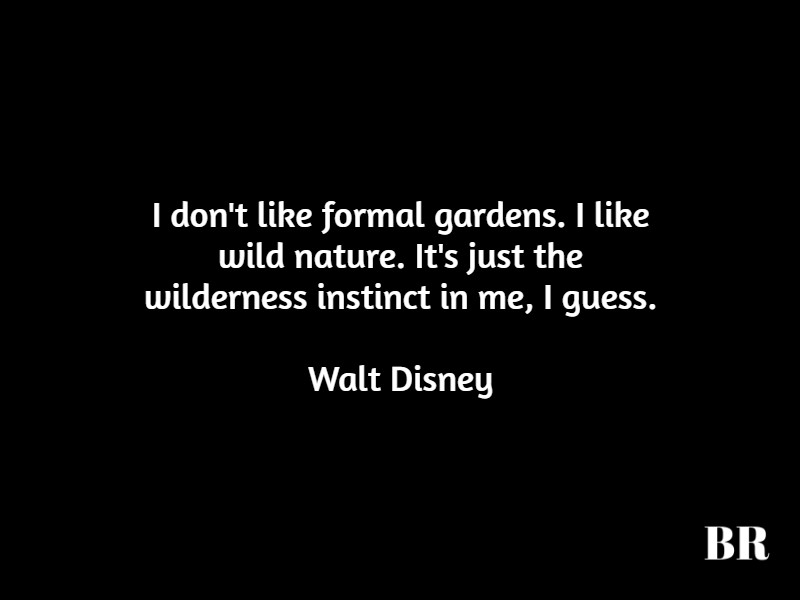 Walt Disney Best Quotes
