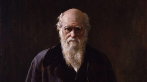 Charles Darwin Quotes