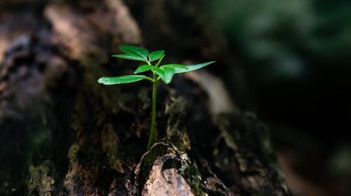 New Beginning in Life Quotes messages and sayings Covid19