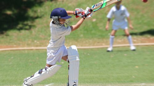 Cricket Quotes