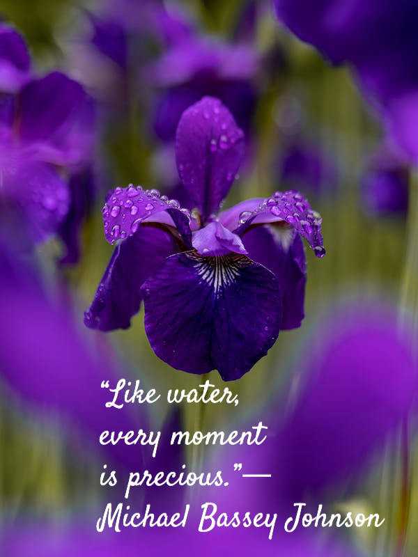 water quotes