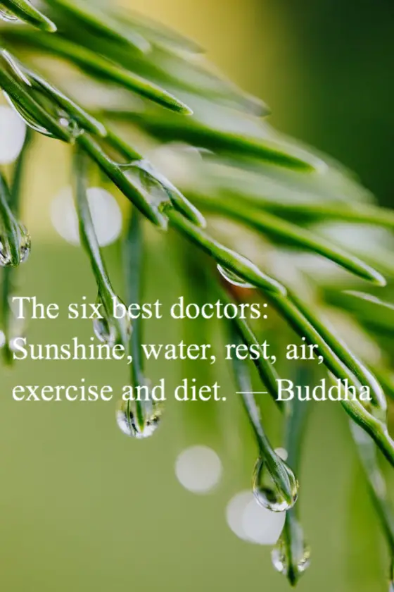 50 Best Water Drop Quotes (Save Water) BrilliantRead Media