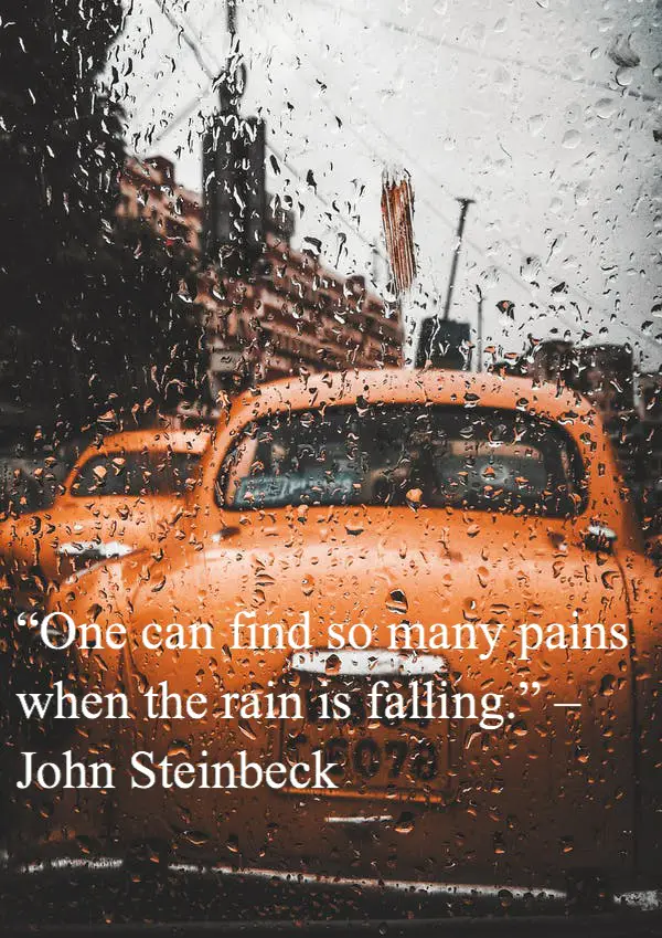 Rain and Water Quotes