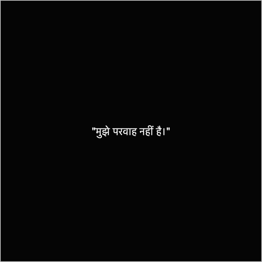 best hindi quotes for I don't care