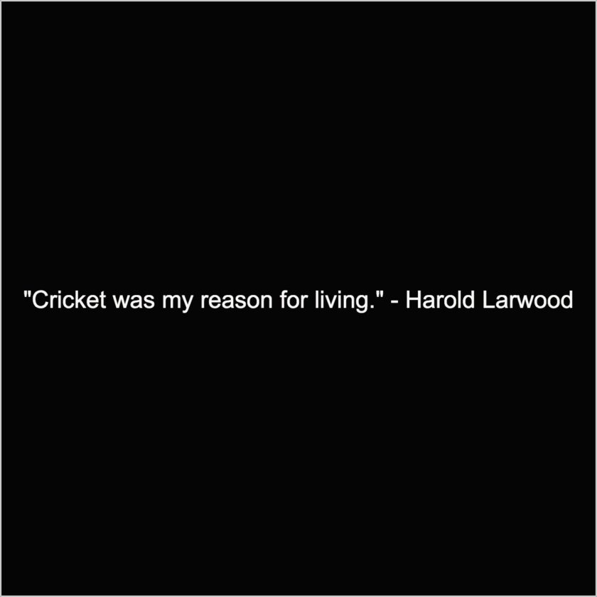 captions on cricket