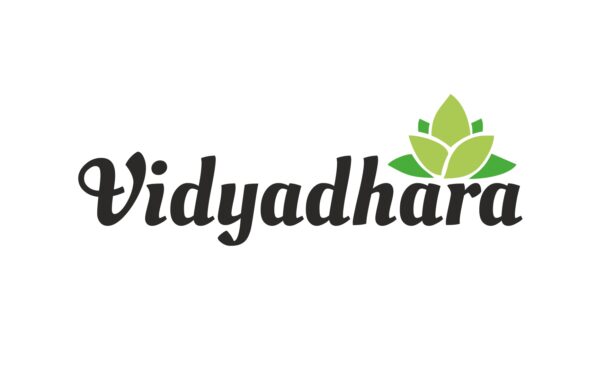 Vidyadhara Consultancy LLP